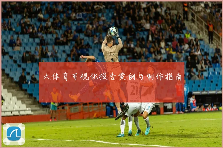 大体育可视化报告案例与制作指南