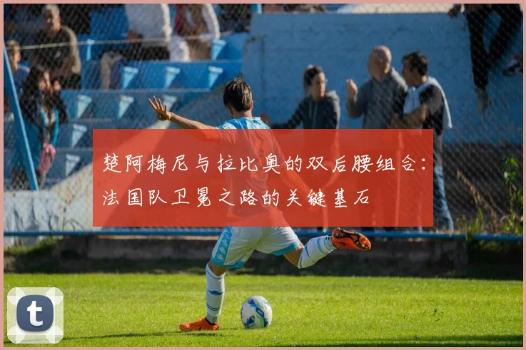 楚阿梅尼与拉比奥的双后腰组合：法国队卫冕之路的关键基石
